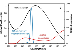 Ultraviolet Irradiation Doses For Coronavirus Inactivation